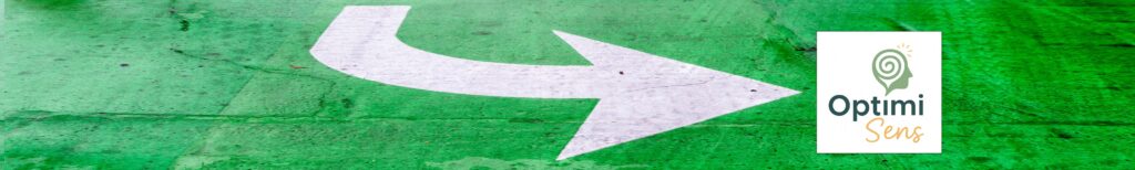 Denis DAVID - OptimiSens